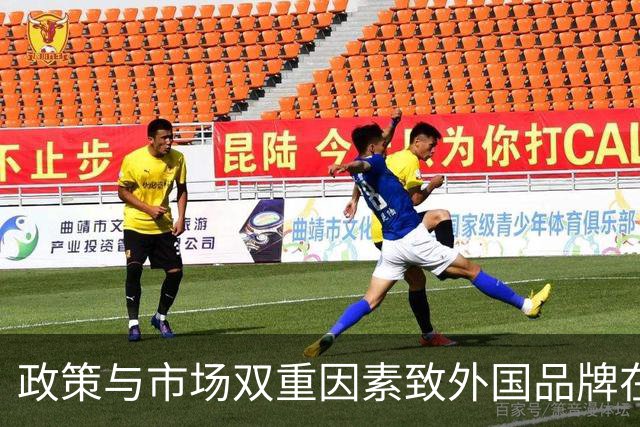 政策与市场双重因素致外国品牌在华失利